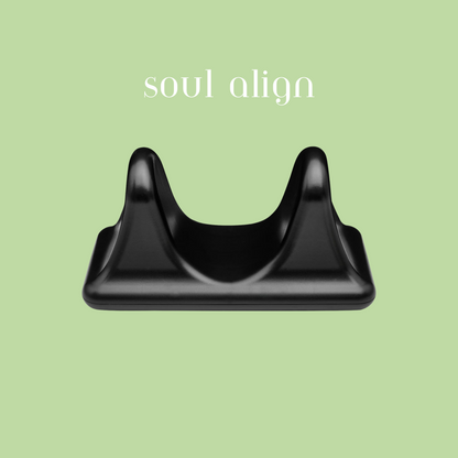 Soul-Align Pro